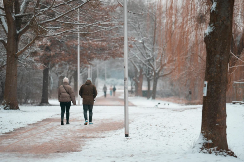 a couple of people that are walking in the snow, by Zofia Stryjenska, pexels contest winner, realism, trees in background, brown, walking through a suburb, college