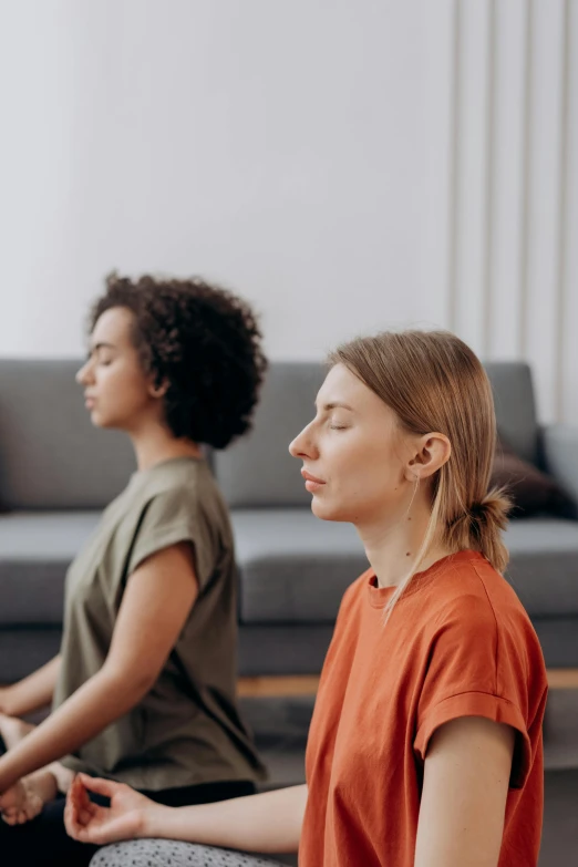 two women meditating in a yoga class, trending on pexels, renaissance, sitting on the couch, medium head to shoulder shot, subtle visual noise, ilustration