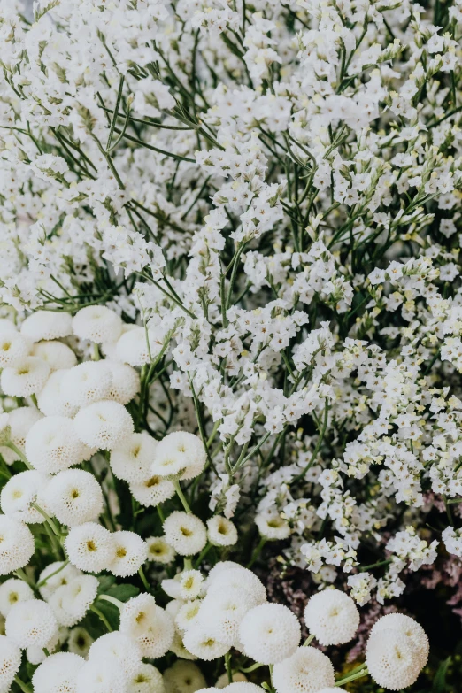 a bunch of white flowers in a vase, an album cover, inspired by Childe Hassam, trending on unsplash, flowerbeds, loosely cropped, various sizes, grainy picture