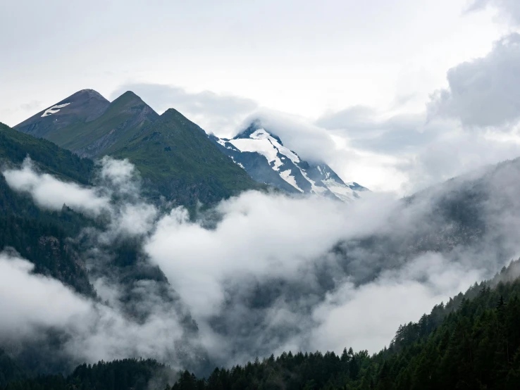 a herd of cattle grazing on top of a lush green hillside, by Daniel Seghers, pexels contest winner, romanticism, covered in clouds, icy glaciers, mount olympus, view of forest