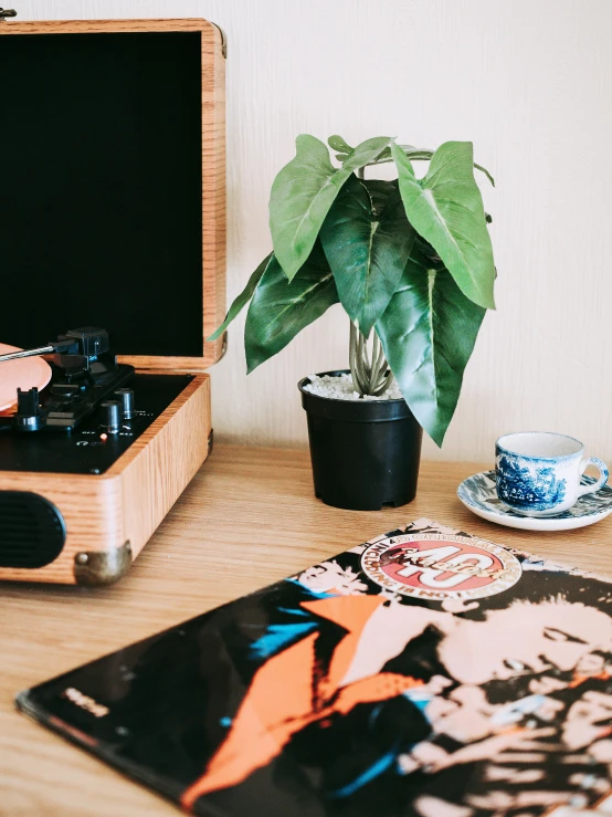 an open suitcase sitting on top of a wooden table, an album cover, inspired by Elsa Bleda, trending on unsplash, unique pot made for houseplants, 7 0 s hi fi system, detail shot, detailed product image