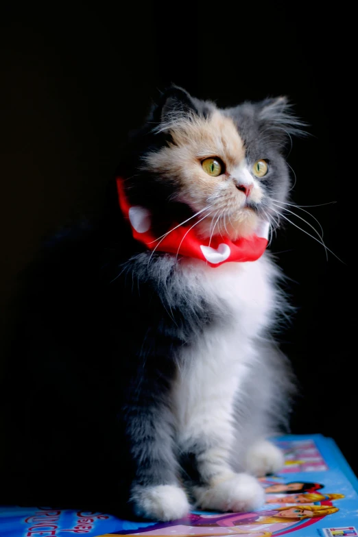 a cat wearing a red bow tie sitting on top of a book, glowing oled visor, wearing collar on neck, shot with sony alpha, ribbon