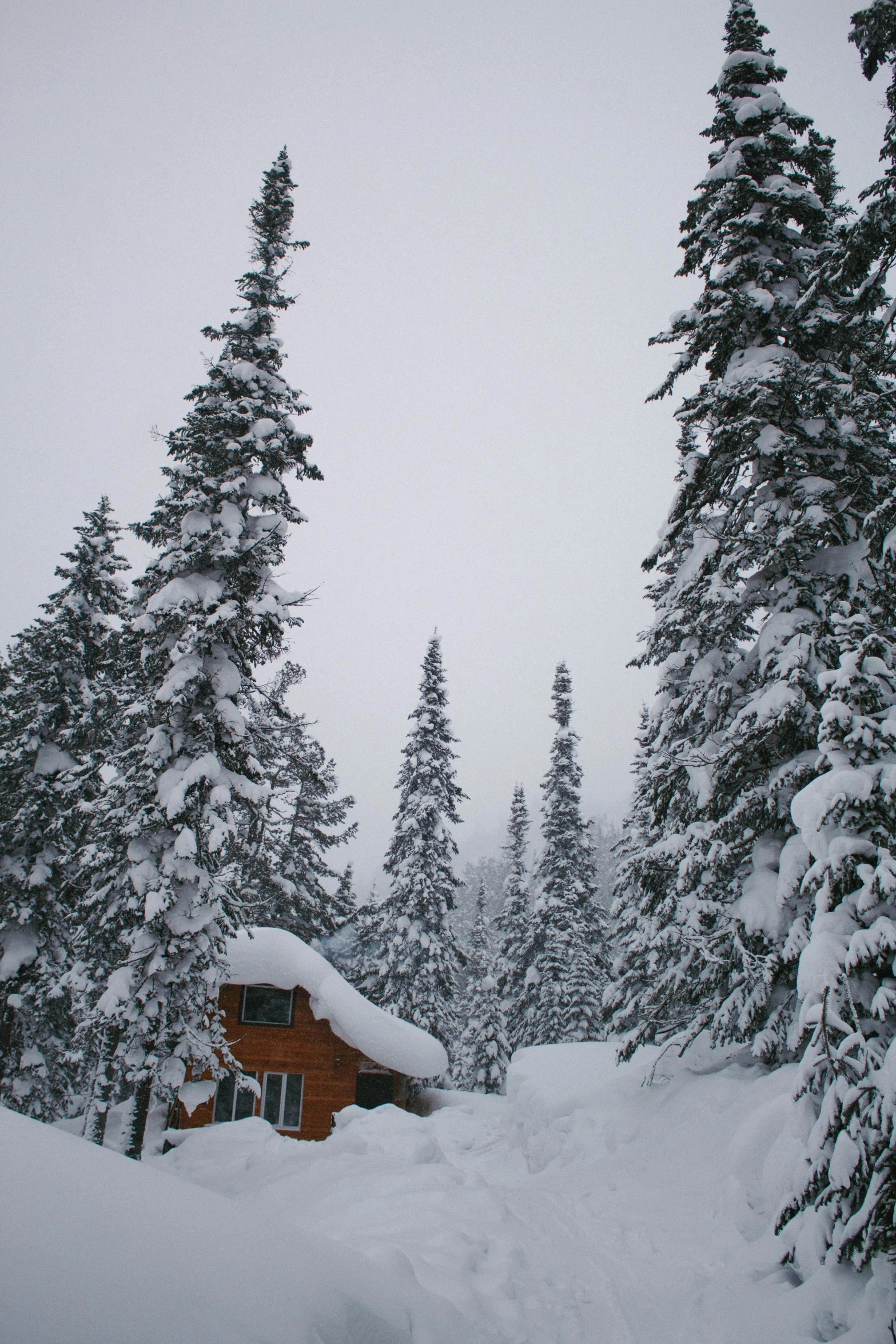 a cabin in the middle of a snowy forest, hurufiyya, whistler, ahhhhhhh, helmet view, minn