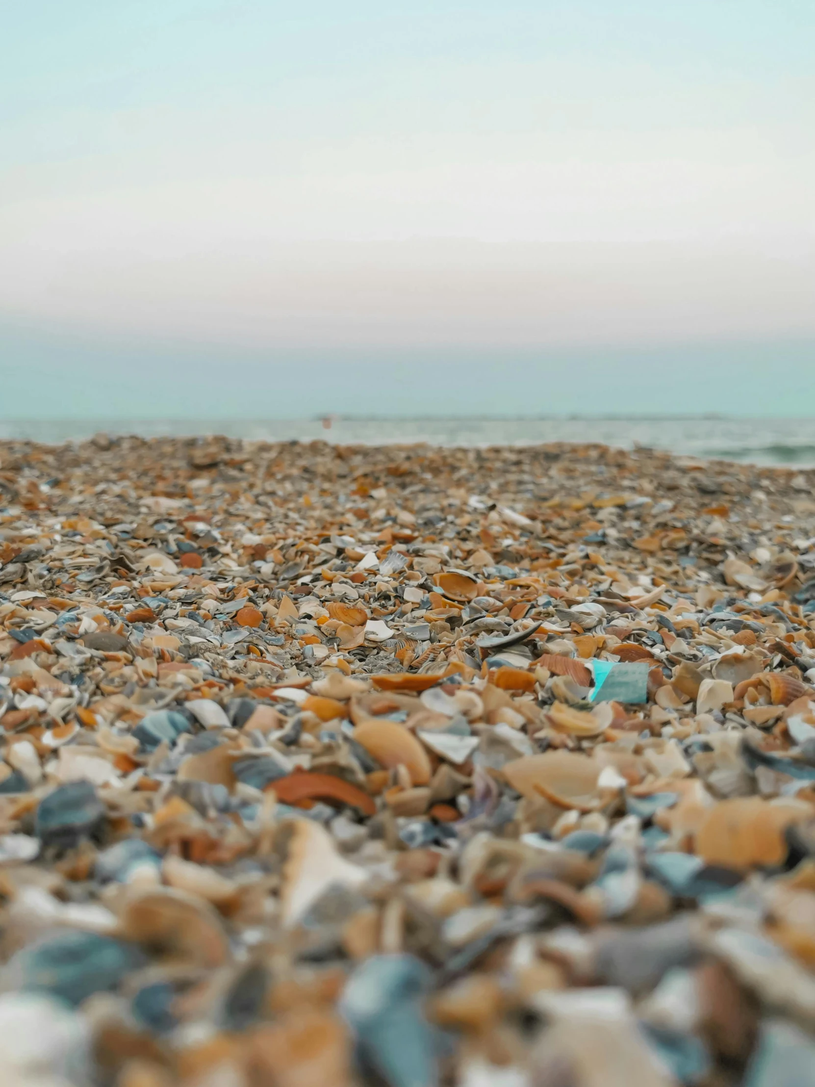 a pile of shells sitting on top of a beach, by Niko Henrichon, pexels contest winner, glistening seafoam, first light, video, shot from afar