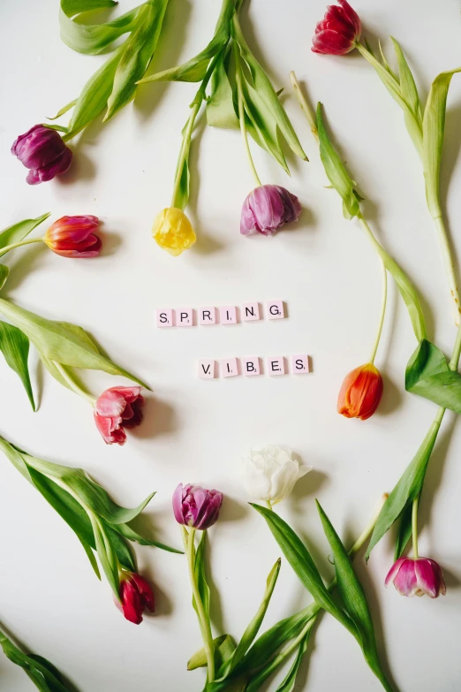 a white plate topped with lots of flowers, by Sylvia Wishart, trending on unsplash, happening, tulips, lettering, wining, minimalist photo