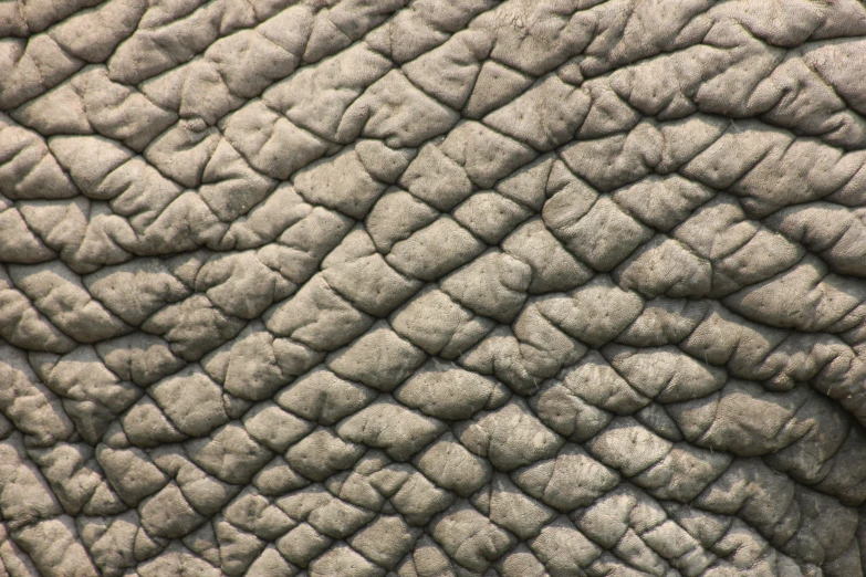 a close up view of an elephant's skin, by Siona Shimshi, seamless texture, hdr fabric textures, leather padding, fish skin