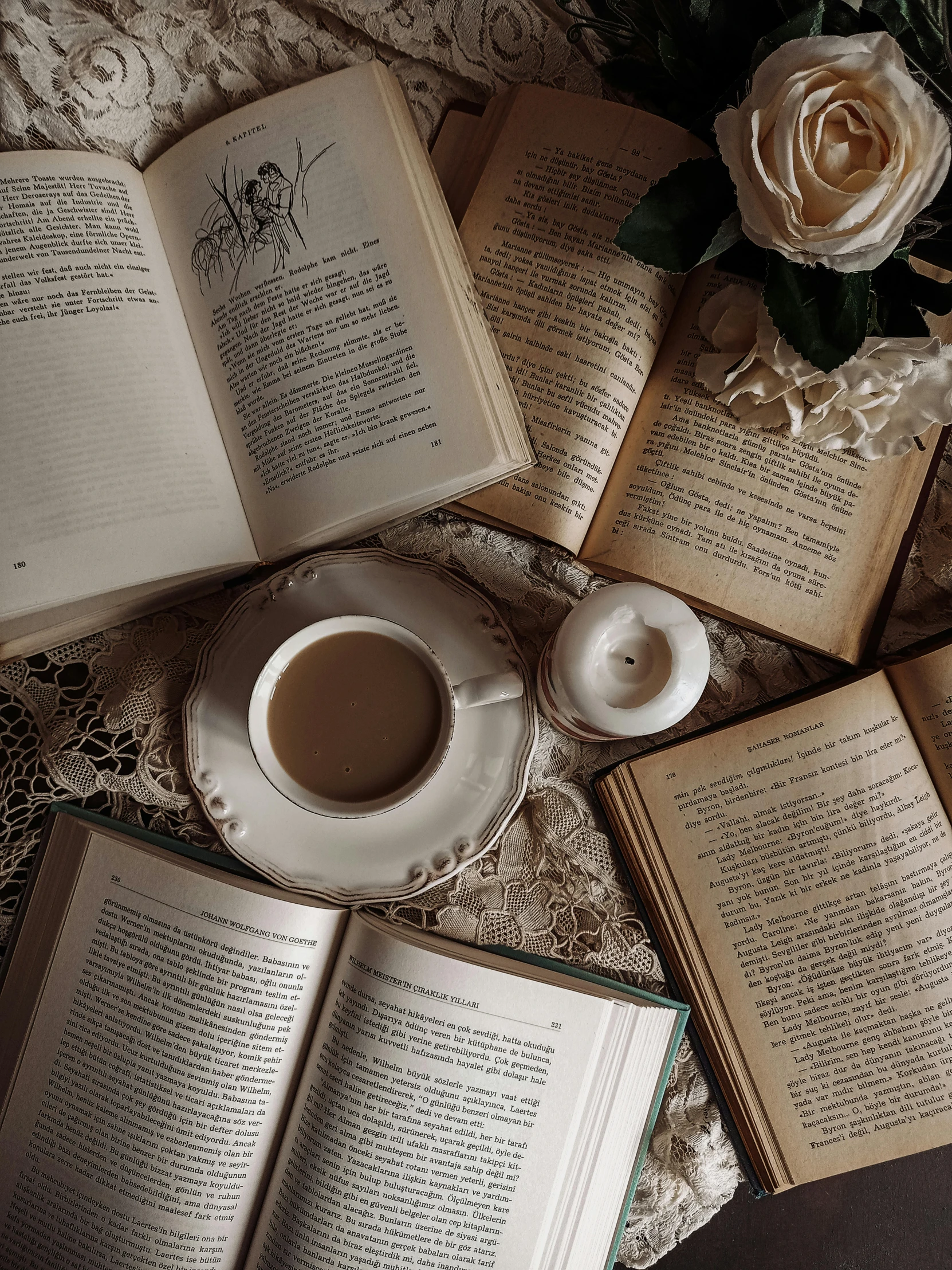 an open book sitting on top of a table next to a cup of coffee, by Lucia Peka, pexels contest winner, romanticism, brown and cream color scheme, an overgrown library, pinterest wallpaper, posing