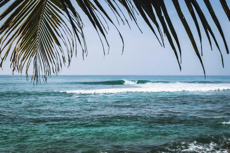 a person riding a surfboard on a wave in the ocean, pexels contest winner, sumatraism, palm leaves on the beach, sri lankan landscape, thumbnail, palm trees outside the windows