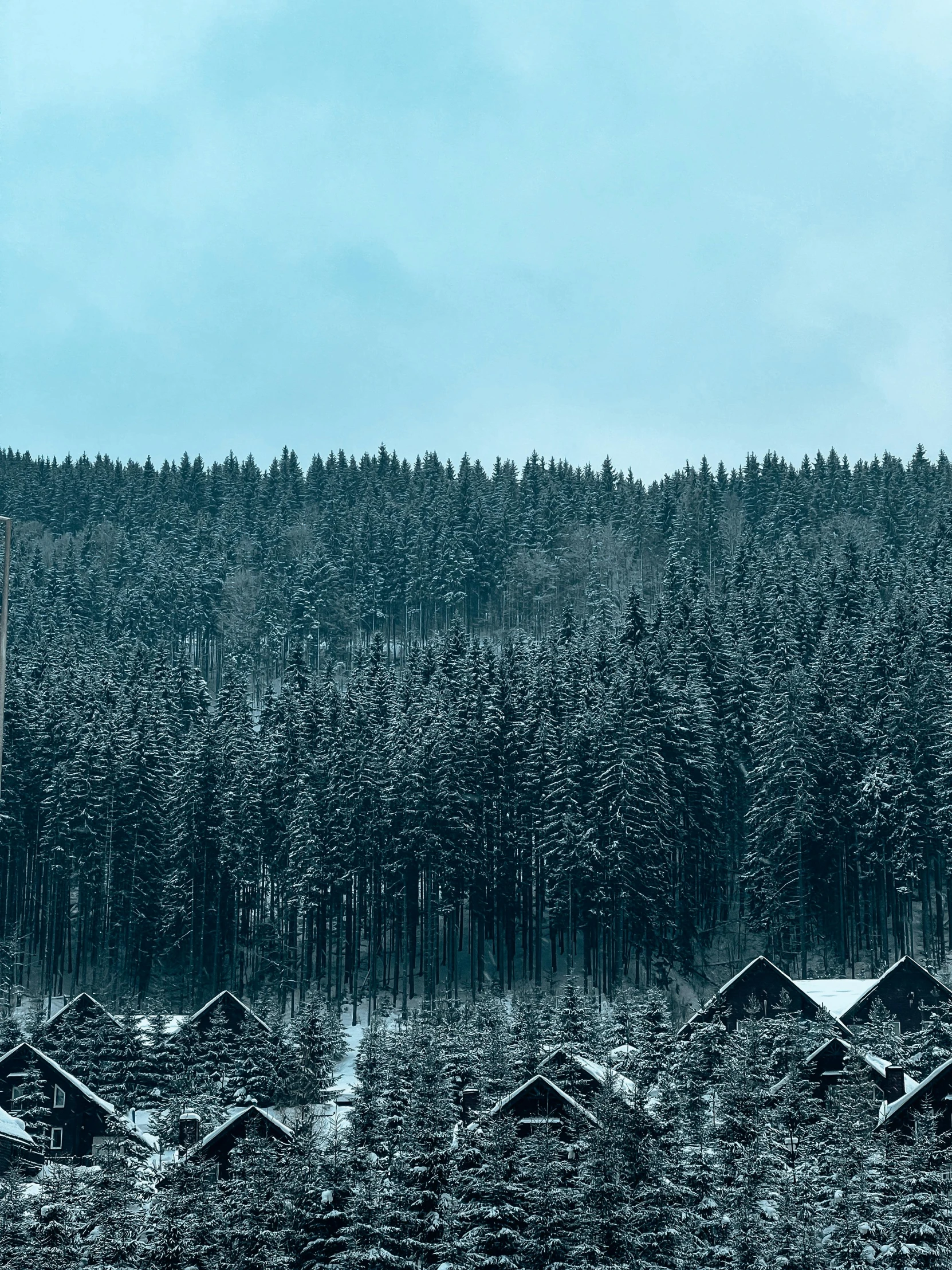 a forest filled with lots of trees covered in snow, inspired by Peter Zumthor, pexels contest winner, hurufiyya, chimneys on buildings, whistler, panorama, cold color