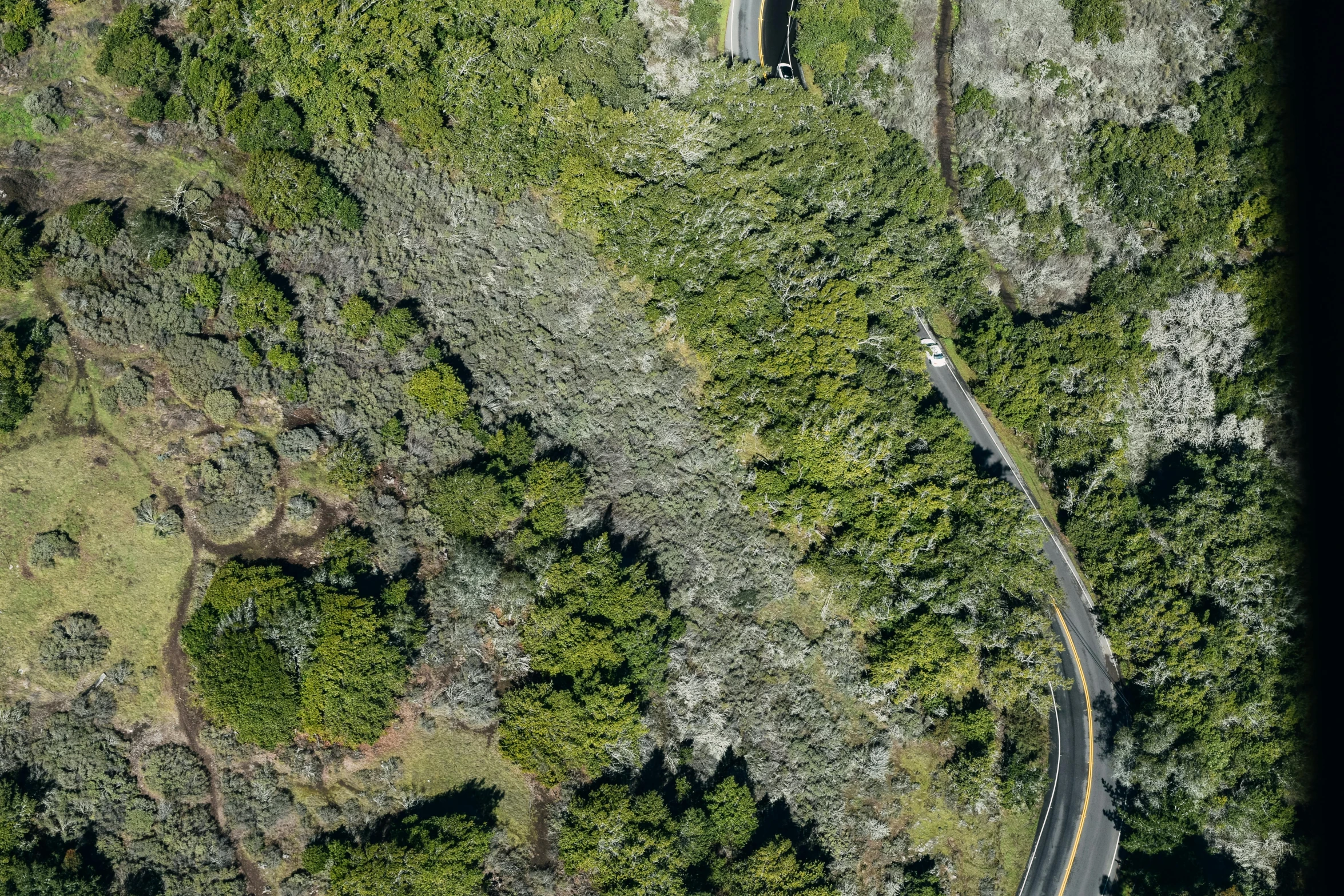 an aerial view of a road in the middle of a forest, by Matt Cavotta, photorealism, sf, thumbnail, cliffside, full frame image