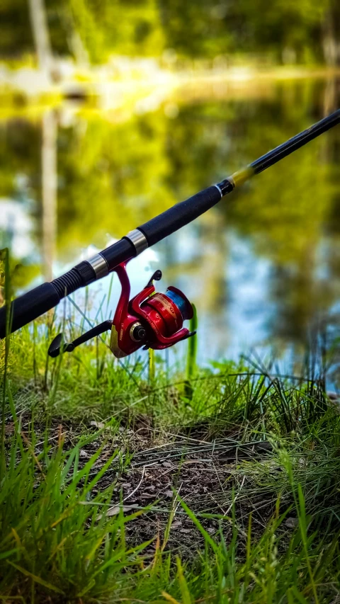 a fishing rod sitting on top of a lush green field, reds, instagram picture, 15081959 21121991 01012000 4k