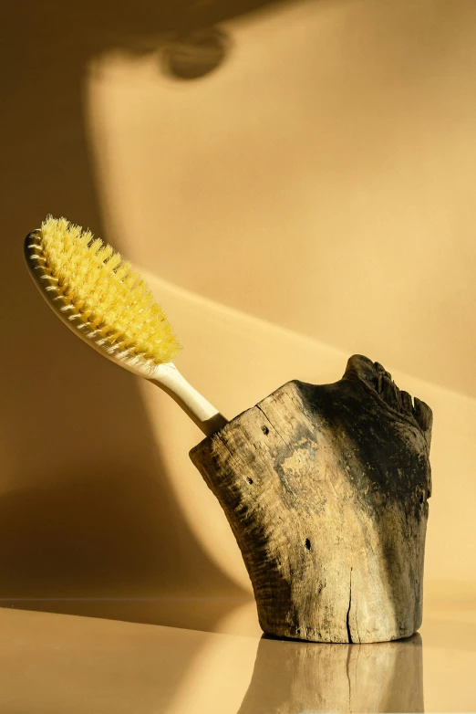 a wooden toothbrush holder with a yellow bristles, by Jessie Algie, renaissance, with textured hair and skin, soft light, slide show, ignant