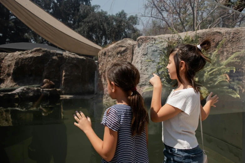 a couple of young girls standing next to each other, by Leo Michelson, pexels contest winner, zoo, two hands reaching for a fish, los angelos, avatar image