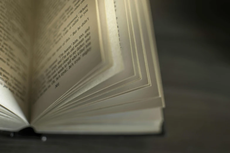 an open book sitting on top of a table, a macro photograph, by David Donaldson, unsplash, hyperrealism, silver，ivory, backlighted, dimly lit, angle view