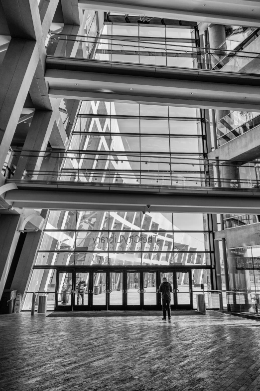 a black and white photo of the inside of a building, a black and white photo, unsplash contest winner, full of glass. cgsociety, tall entry, monochrome color, three views