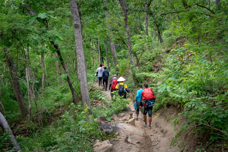 a group of people on a trail in the woods, by Meredith Dillman, unsplash, mingei, the mountain is steep, avatar image, ja mong, thumbnail