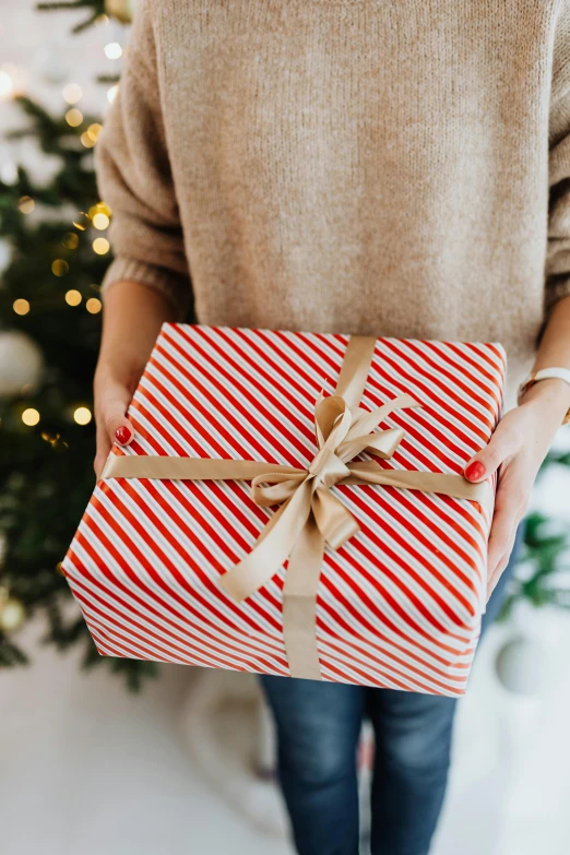 a woman holding a wrapped gift in front of a christmas tree, red stripe, subtle detailing, fan favorite, detailed product shot