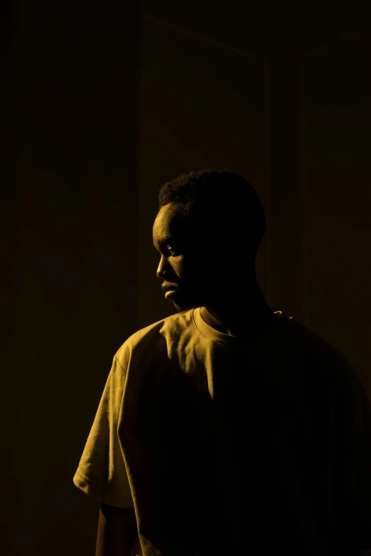 a man standing in a dimly lit room, inspired by Afewerk Tekle, dramatic soft shadow lighting, posed in profile, promo image, brown skinned