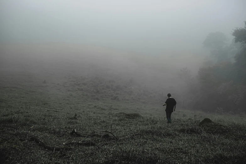 a person standing in a field on a foggy day, on top of a hill, background image, carson ellis, looking for clues