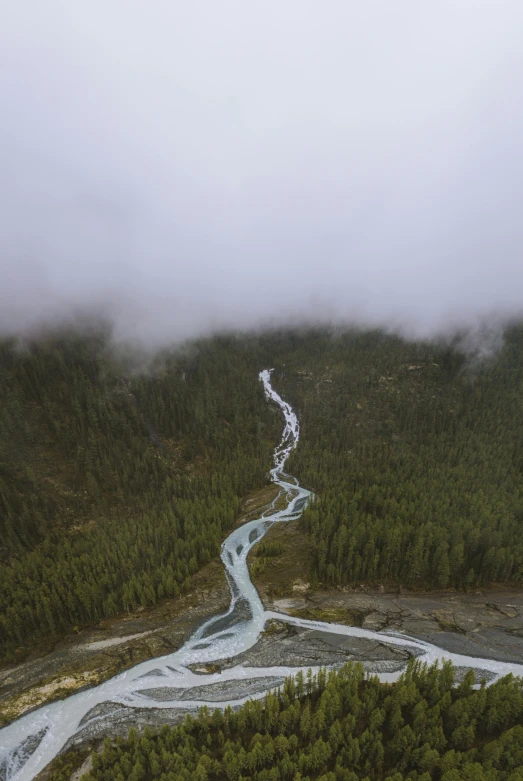 a river running through a lush green forest, an album cover, by Jessie Algie, unsplash contest winner, hurufiyya, icy glaciers, foggy photo 8 k, drone photograpghy, overcast