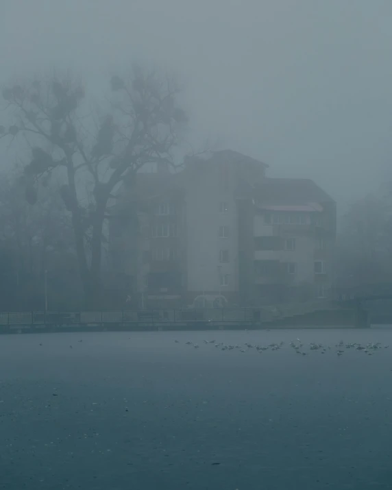 a bunch of birds that are standing in the water, inspired by Elsa Bleda, pexels contest winner, romanticism, mist below buildings, view from the lake, szekely bertalan. atmospheric, grey