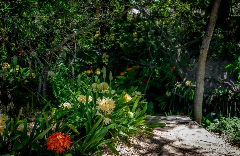 a fire hydrant sitting in the middle of a garden, a picture, by Gwen Barnard, unsplash, flowering pineapples and orchids, directional sunlight skewed shot, lilies and daffodils, lush foliage