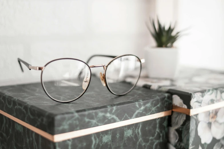 a pair of glasses sitting on top of a box, a picture, trending on pexels, square rimmed glasses, stone and glass, detailed shot, plants in glasses