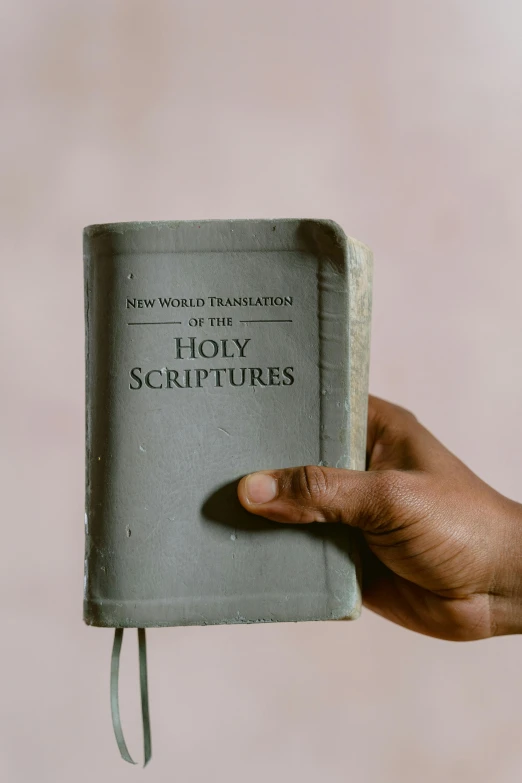 a person holding a book in their hand, holy themed, on a pale background, emmanuel shiru, ripley scott