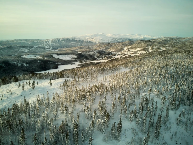a snow covered forest filled with lots of trees, inspired by Einar Hakonarson, pexels contest winner, hurufiyya, overlooking a valley, shoreline, view from helicopter, suntur
