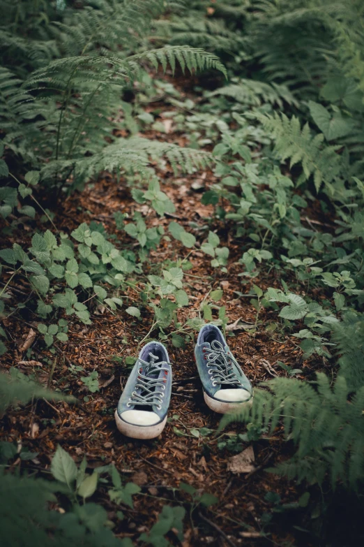 a pair of shoes sitting on top of a forest floor, by Elsa Bleda, unsplash contest winner, conceptual art, green and blue, 256435456k film, fern, casual photography