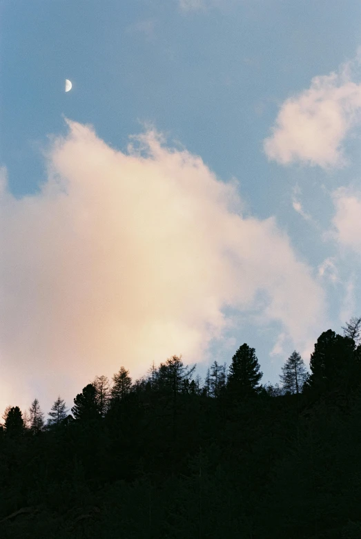 a person flying a kite on top of a lush green hillside, an album cover, unsplash, romanticism, night clouds, sparse pine trees, fat cloud, photo taken on fujifilm superia