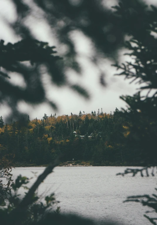 a large body of water surrounded by trees, a picture, inspired by Elsa Bleda, unsplash contest winner, grey skies rain, in a cabin, minn, seen from a distance