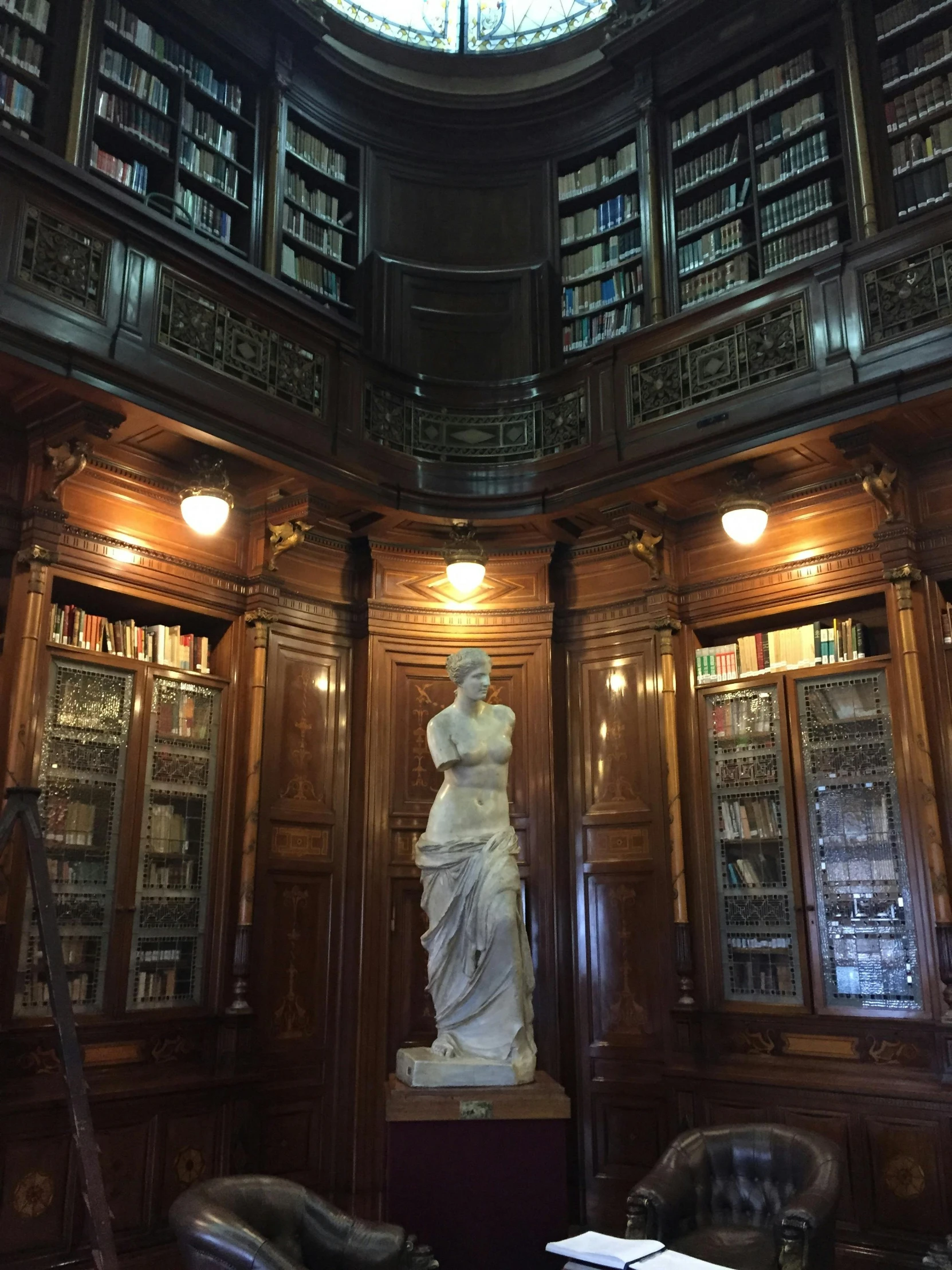 a room filled with lots of books and a statue, mannerism, standing, biodiversity heritage library, best photo, thumbnail