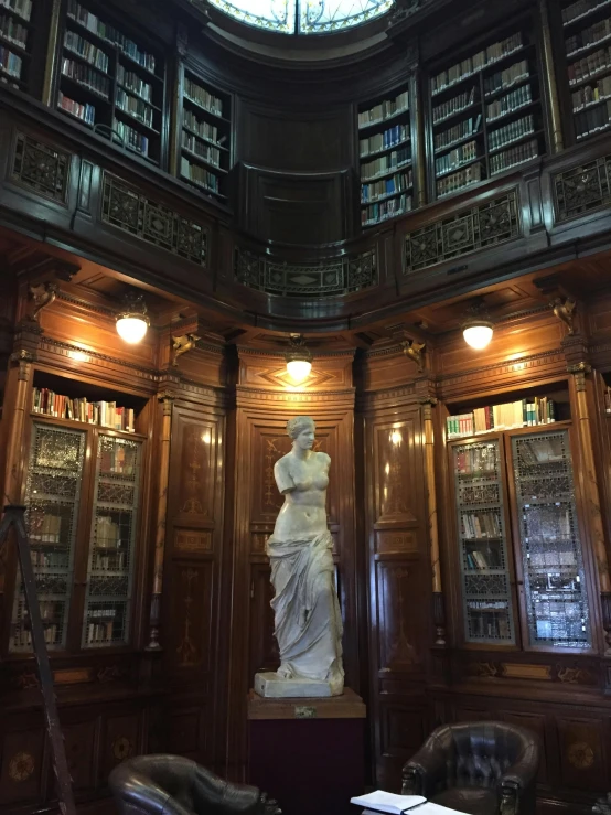 a room filled with lots of books and a statue, mannerism, standing, biodiversity heritage library, best photo, thumbnail