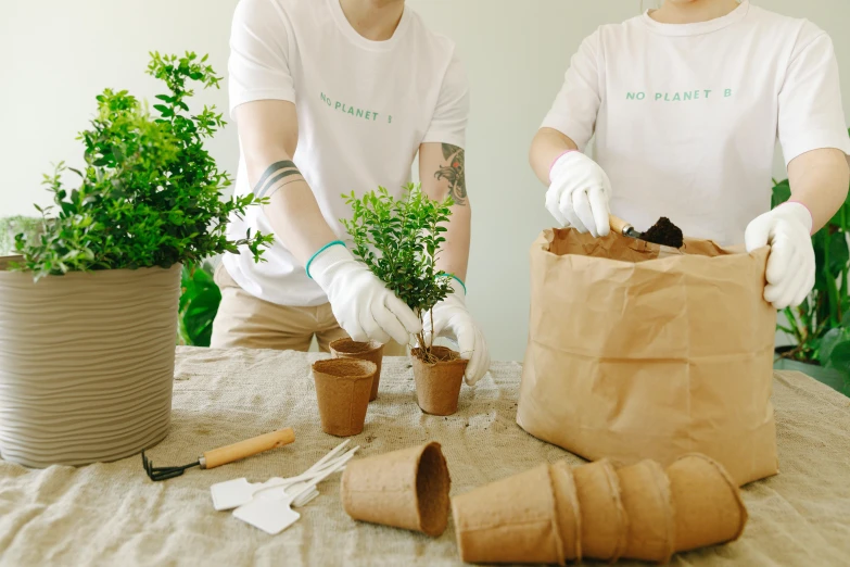 a couple of people that are standing around a table, gardening, packaging, next to a plant, white sleeves