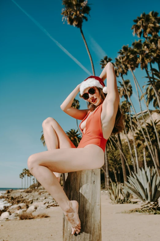 a woman sitting on top of a wooden post on a beach, inspired by Bunny Yeager, trending on pexels, wearing a santa hat, bodysuit, palm body, gif