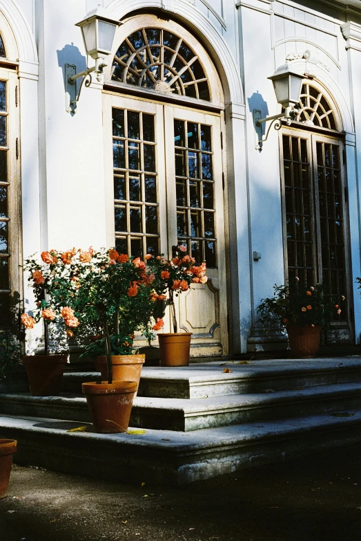 a building with a bunch of potted plants in front of it, inspired by Albert Paris Gütersloh, neoclassicism, white and orange, patio, entrance, fujicolor sample