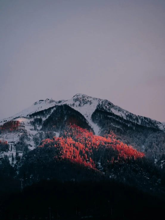 a mountain covered in snow and red lights, a picture, unsplash contest winner, soft grey and red natural light, with trees, last light on mountain top, slightly pixelated