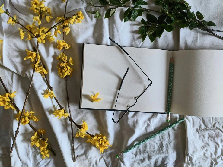 an open book sitting on top of a bed next to a plant, a drawing, trending on pexels, yellow flowers, square rimmed glasses, white sketchbook style, background image