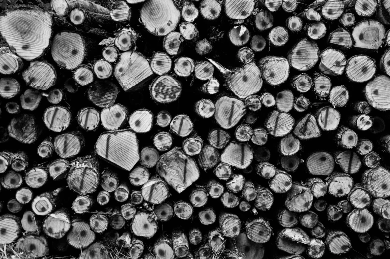 a black and white photo of a pile of wood, inspired by Thomas Struth, unsplash, land art, ffffound, black and white spots, vibrant contrast, made of wood!!!!!