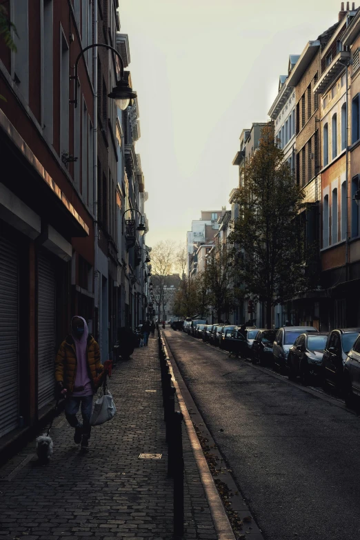 a street lined with parked cars next to tall buildings, a photo, by Daniel Seghers, pexels contest winner, hyperrealism, liege, soft morning light, people walking in the distance, shady alleys