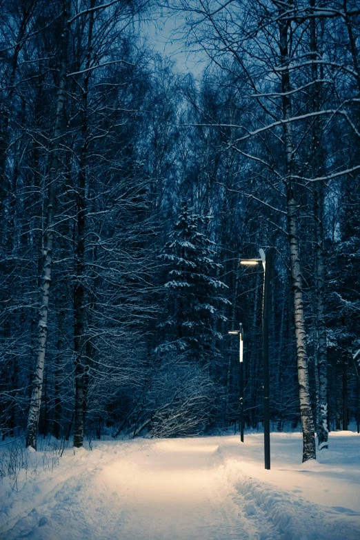 a street light sitting in the middle of a snow covered forest, nadir lighting, dark blue, espoo, grey