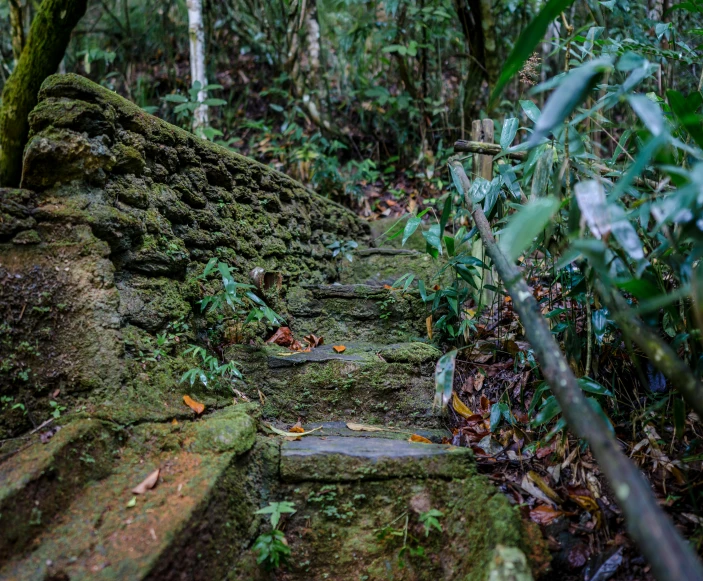 a set of stone steps in the woods, an album cover, unsplash, sumatraism, puerto rico, avatar image, archeological discover, promo image