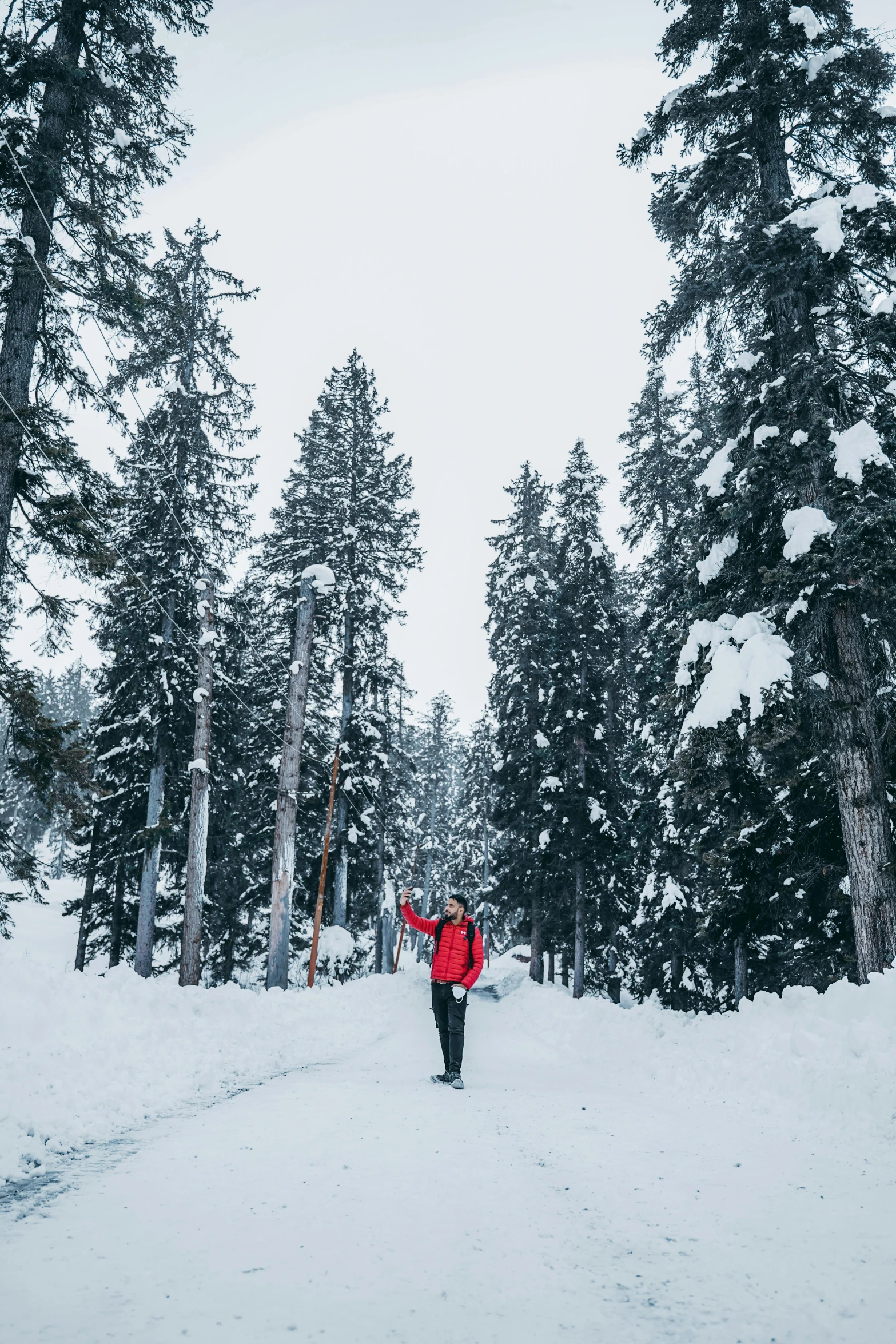 a person standing in the middle of a snow covered forest, photo of zurich, tall pine trees, red sweater and gray pants, street photo