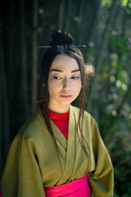 a woman in a green and pink kimono, a portrait, inspired by Otake Chikuha, unsplash, dilraba dilmurat, yellow robes, wearing dark green robes, avatar image