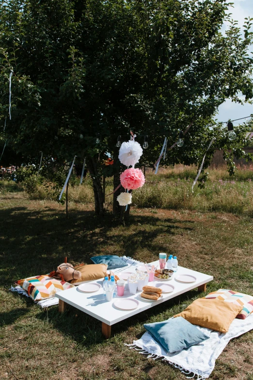 a picnic set up in the middle of a field, at a birthday party, with fruit trees, d. i. y. venue, instagram story