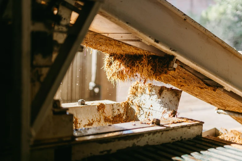 a close up of a piece of wood on a conveyor belt, a picture, unsplash, surface hives, organic matter, inside a shed, australian