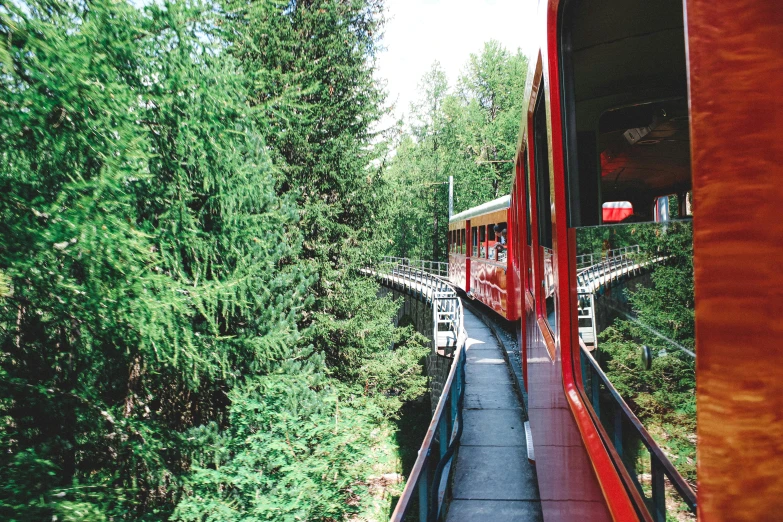 a red train traveling through a lush green forest, by Julia Pishtar, pexels contest winner, art nouveau, chairlifts, whistler, 🦩🪐🐞👩🏻🦳, bright summer day