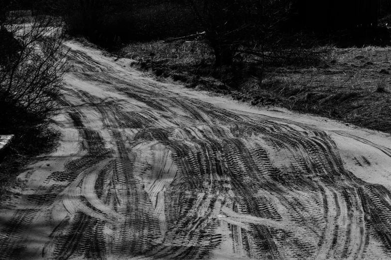 a black and white photo of a dirt road, by Mirko Rački, unsplash, lyrical abstraction, fur with mud, pattern, phone photo, concert