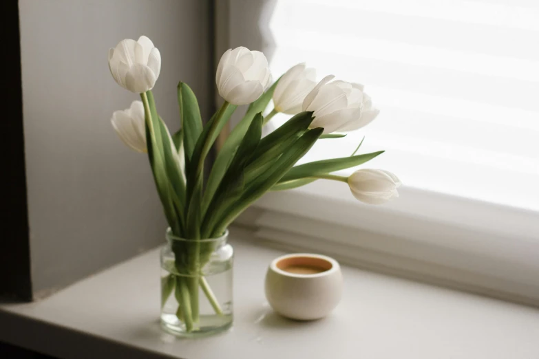 a vase filled with white flowers next to a cup of coffee, pexels contest winner, light and space, tulips, vignette of windowsill, white ceramic shapes, white